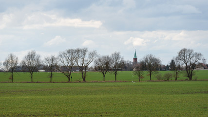 Blick &uuml;ber ein gr&uuml;nes Feld mit B&auml;umen auf einen Kirchturm