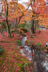 京都 嵐山 宝厳院の紅葉