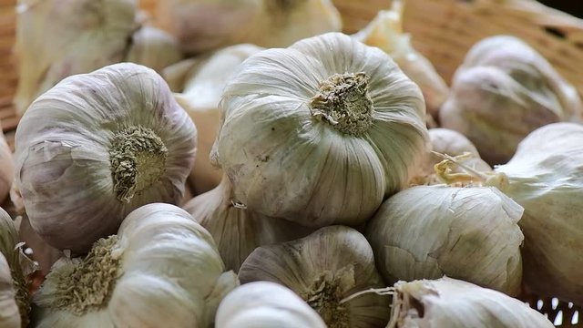 dry garlic rotation