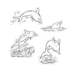 Vector sketch set dolphins jumping dive and swim. Monochrome black sea animals isolated on white background for dolphinarium or oceanarium tourist cards or banners design.