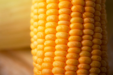 Close up shot Fresh ripe and peeled sweet corn with water drop high vitamin nature food select focus shallow depth of field