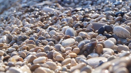 Camino de piedras