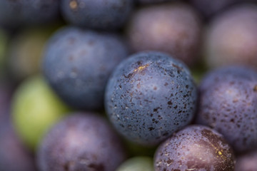 grapes close up 