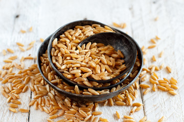 Raw Kamut grain in a wooden bowl