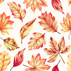 Fototapeta na wymiar Autumn Seamless Pattern