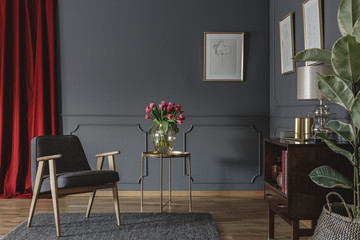 Elegant living room interior with fresh pink tulips on gold table, grey armchair standing on carpet, red curtain and posters hanging on molding wall