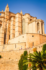 Fototapeta premium Cathédrale de Palma de Majorque