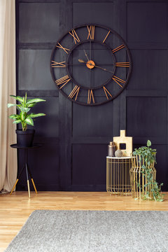 Clock on black wall in living room interior with plants and gold tables near grey carpet. Real photo