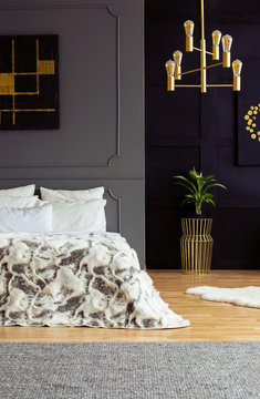 Black poster above bed in grey bedroom interior with gold chandelier and plant. Real photo
