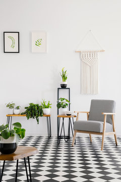 Real photo of a retro armchair standing on black and white checked floor in bright living room interior with plants