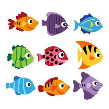 fish matching game vector design