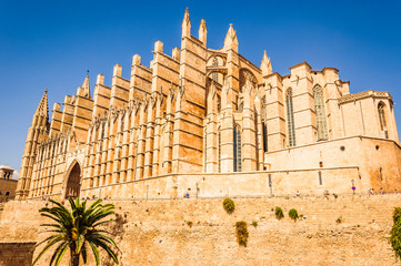 Obraz premium Cathédrale de Palma de Majorque