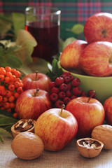 Naklejka na ściany i meble Apples and berries with autumn mood