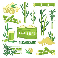 Sugar plant agricultural crops, cane leaf, sugarcane juice vector icons - obrazy, fototapety, plakaty
