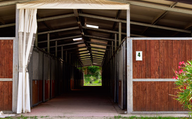 wooden horse stable number 4