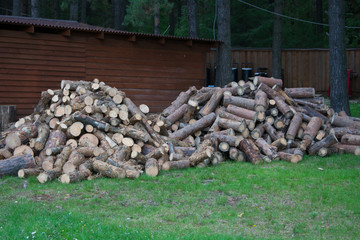 firewood wood trees