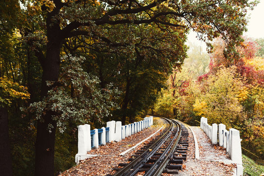 Fall landscape, Railway tracks running through autumn forest