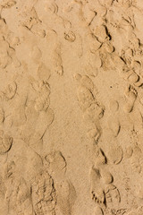 Footprints in the sand