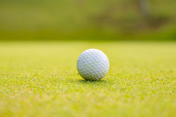 ゴルフ場のグリーンとゴルフボール