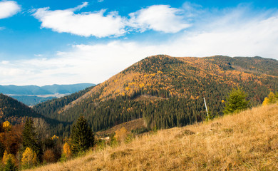 Naklejka na ściany i meble beautiful autumn landscape in the mountains