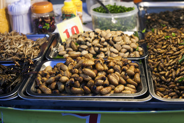 Thai food fried worms and insects, night market