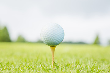 新緑のゴルフ場