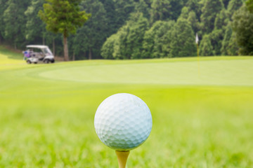 新緑のゴルフ場