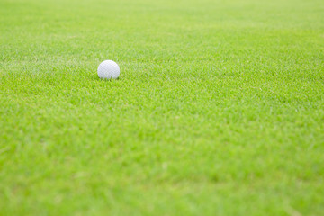 新緑のゴルフ場