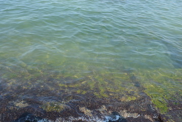 Marine breakwaters made of reinforced concrete slabs on the shore of the Black Sea