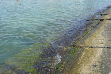 Marine breakwaters made of reinforced concrete slabs on the shore of the Black Sea