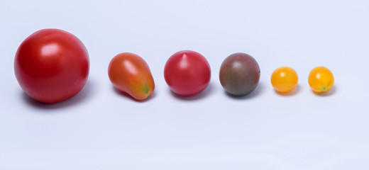 tomato cherry tomato isolates