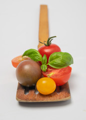 tomato cherry tomato isolates