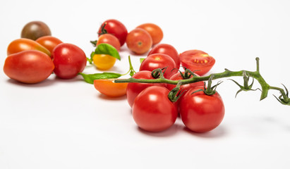 tomato cherry tomato isolates