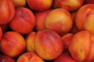 Fototapeta na wymiar juicy ripe peaches. background