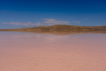 Pink lake, blue sky in the Crimea