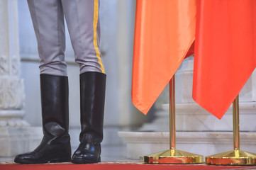 Guard of honor during a military ceremony
