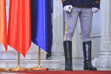 Guard of honor during a military ceremony