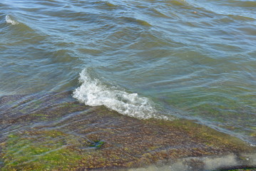 Waves with white foam of the Black Sea pass through a reinforced concrete construction slab, which was covered with green algae