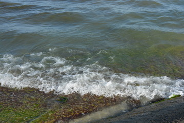 Waves with white foam of the Black Sea pass through a reinforced concrete construction slab, which was covered with green algae