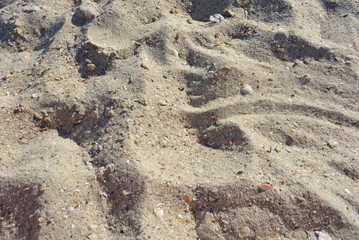Yellow sand with shallow shell and depressions on the Black Sea beach at the Iron Port during the day