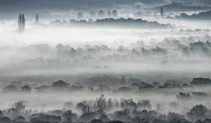 Obraz na płótnie Canvas Morning landscape with fog