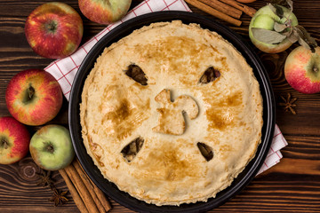 Homemade Tasty Apple Pie with Apples and Spices Wooden Background Top View Raw Apples Cinnamone Sticks Close Up