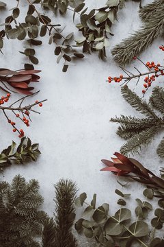 Festive holiday foliage flatlay background