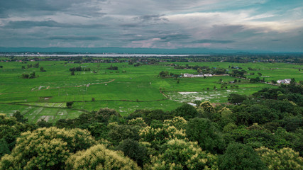 Fototapeta na wymiar Aerial view shot with drone of Asian green fields 