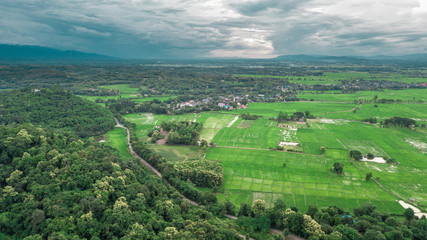 Fototapeta na wymiar Aerial view shot with drone of Asian green fields 