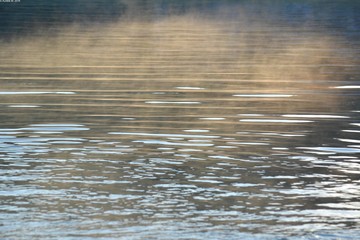 Brume sur l'eau