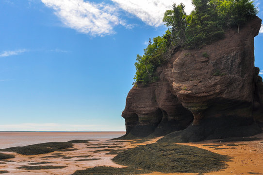 Hopewell Rocks at low tide, Fundy bay, Canada