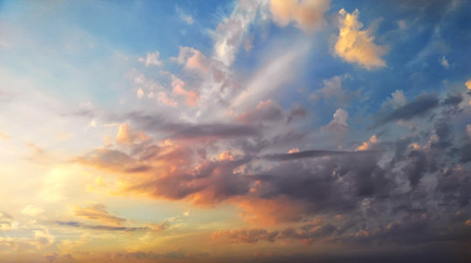 Beautiful summer sunset. Natural composition