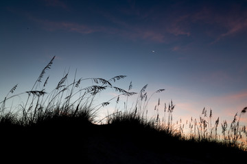 Sand dunes and moon in the early morning