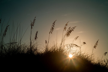 Beautiful Sun rising over the dunes